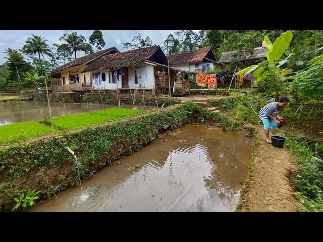 Suasana Pedesaan Di Negeri Yang Damai Jawa Barat