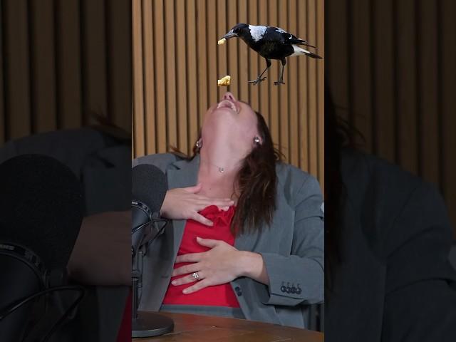 Save it for a rainy day #podcast #comedy #nyc #funny #shorts #comedian