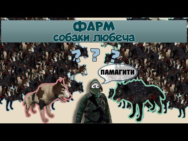 Сталкер онлайн/Stay Out - СКОЛЬКО МОГУТ ПРИНЕСТИ СОБАКИ ОКРЕСТНОСТЕЙ ЛЮБЕЧА