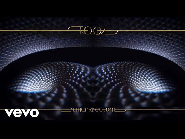 TOOL - Invincible (Audio)