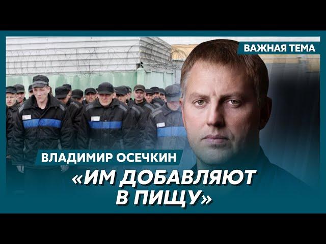 Осечкин о том, что дают русским зекам перед боем