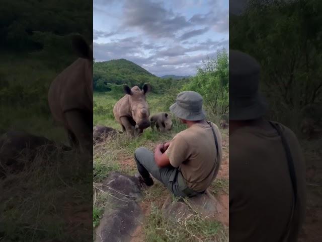 Mom and baby rhino visiting their protector