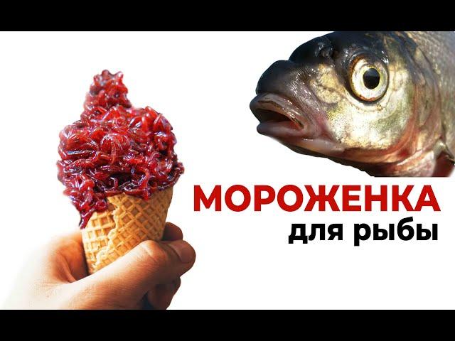 МОРОЖЕНКА ДЛЯ РЫБЫ! Отличная добавка в прикормку!