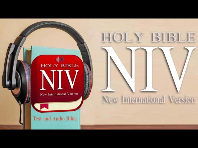 Holy Bible NIV Audio Version Free app instail now!