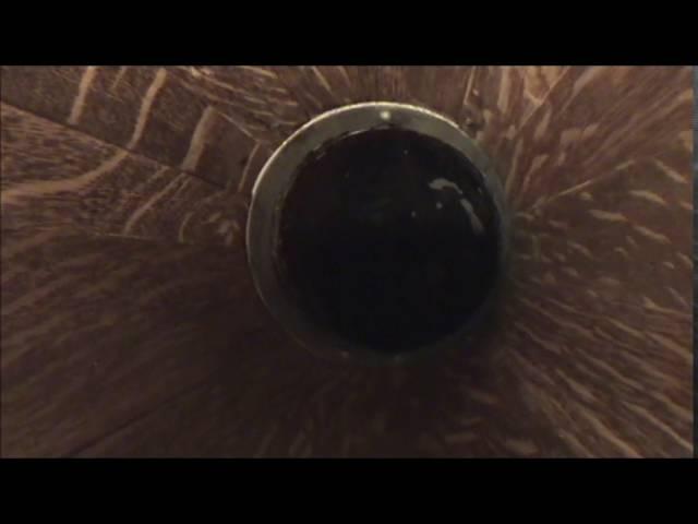 Unexpected "Surprise" On Uncle Josh Cylinder Played On Edison Triumph Model D2 Phonograph