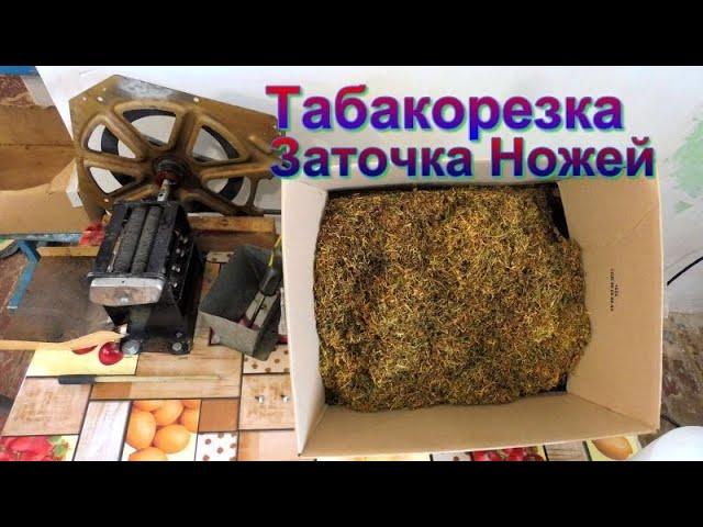 Как заточить ножи - Табакорезка Полячка.