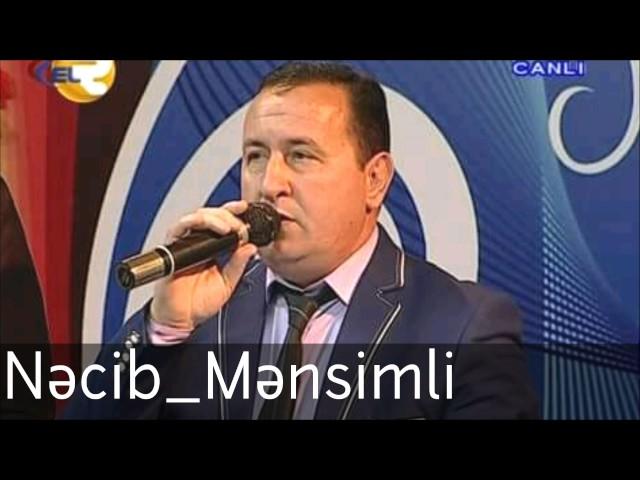 Nəcib Mənsimli