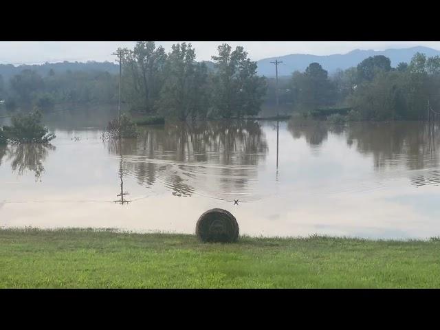 Watch as a baby deer swims across flooded Bost Road in Morganton, NC