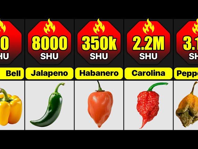 Hottest Peppers In The World | Comparison: What Are The Spiciest Peppers In The World?