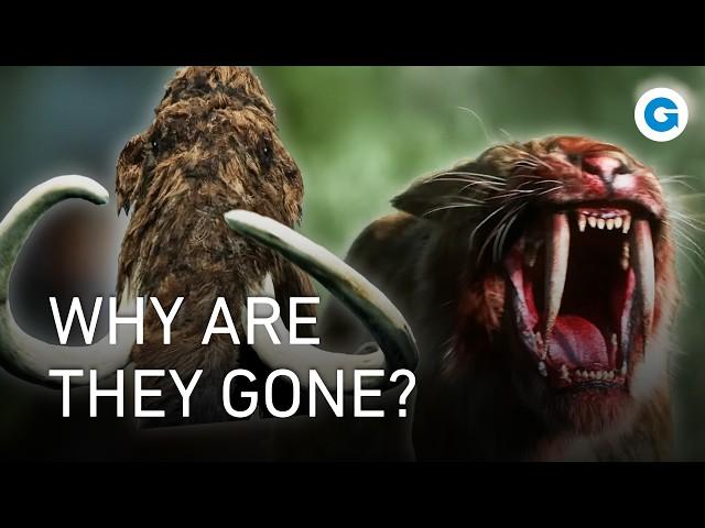 The Last Giants: Tracking the Ice Age Extinction