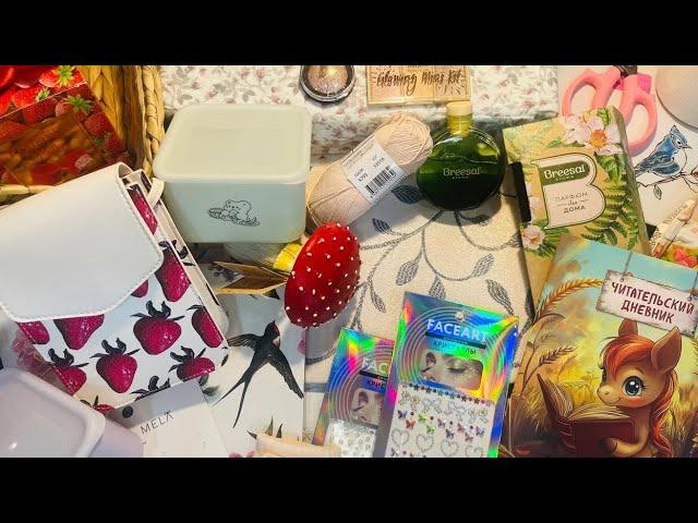 Мои отличные покупки из Фикс Прайс, Фамилии и Чижика! #чижик #фикспрайс #счастьеесть #фамилия