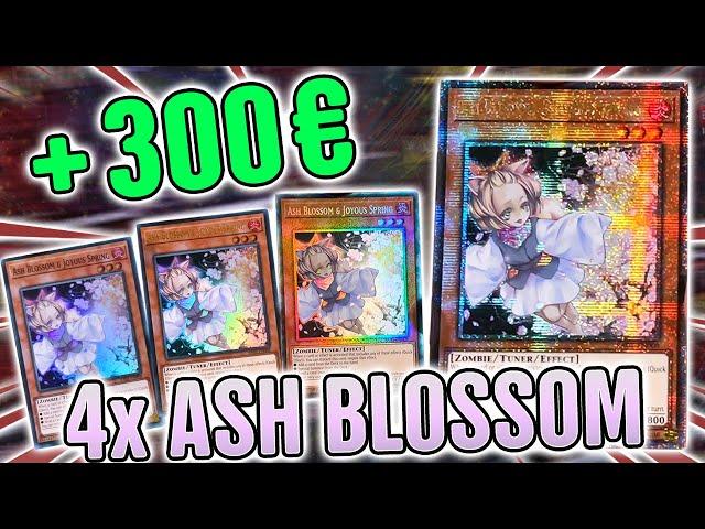 Ash Blossom Quarter Century Secret Rare | INSANE Display Opening 25th Anniversary Rarity Collection