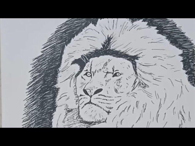 DRAW A PIKTURE OF A LION/НАРИСУЙТЕ ИЗОБРАЖЕНИЕ ЛЕВА/ARSLON RASMINI CHIZISH/АРЫСТАННЫН СУРЕТIН САЛ