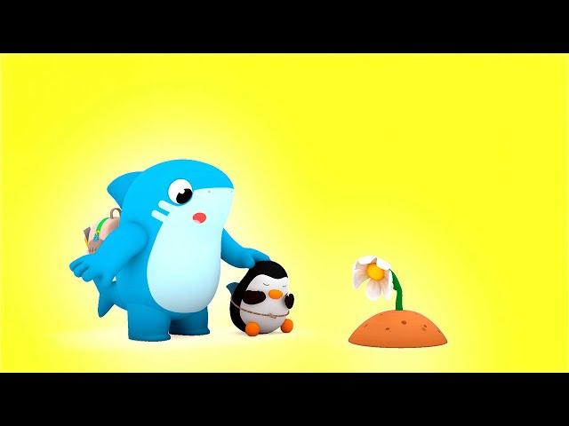 Las Estaciones SHARK ACADEMY  Canciones Infantiles | El Reino Infantil