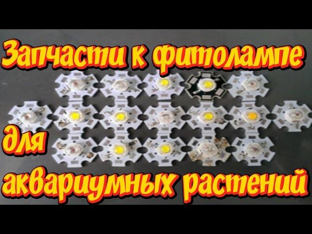 Светодиоды для растений! Диоды полноспектральные для фитолампы