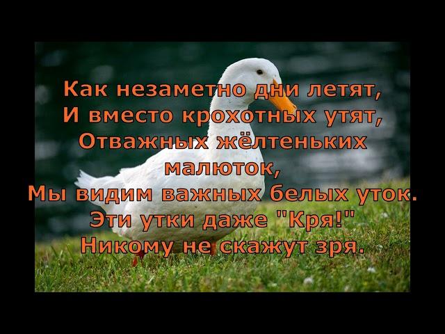 В  Берестов  Утята  #поэты20века #стихидетям #стихиоживотных