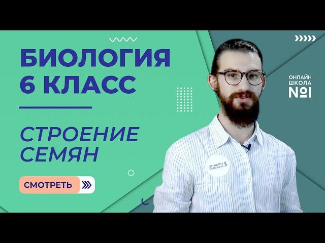 Строение семян. Урок 1. Биология 6 класс