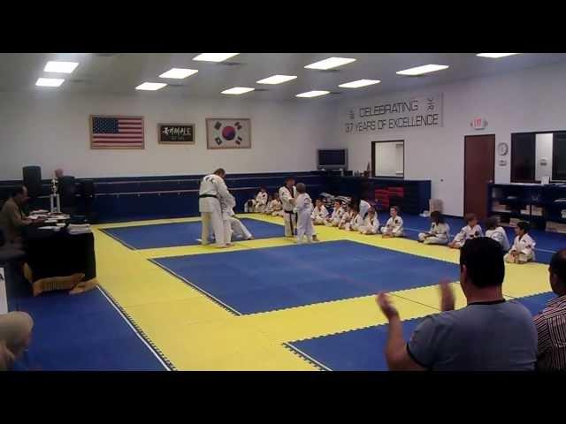 Oliver's Taekwondo exam - breaking a board