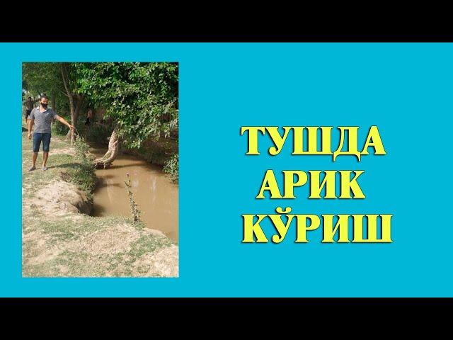 Туш табири - Тушда Арик куриш