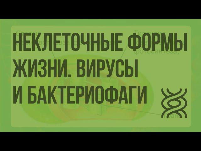 Неклеточные формы жизни. Вирусы и бактериофаги. Видеоурок по биологии 10 класс