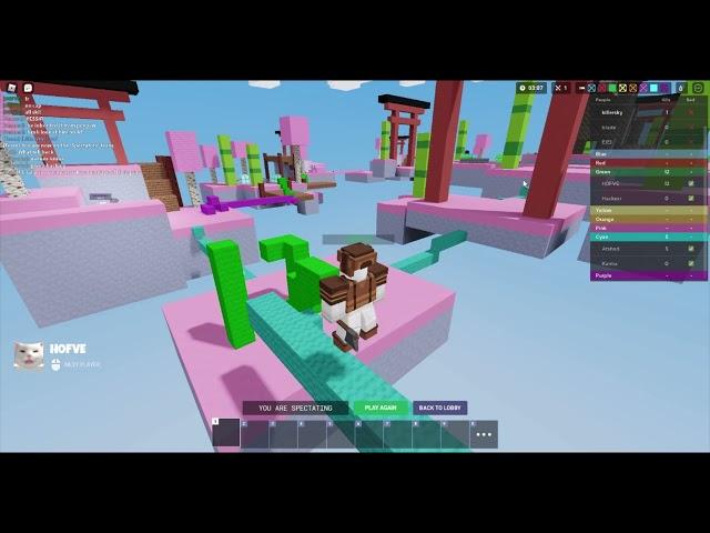 bedwars hacker... only his first game such pro wow skills