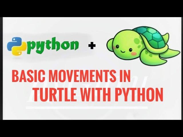 pyTurtle 2 | Basic movements in turtle | Python | #pyGuru