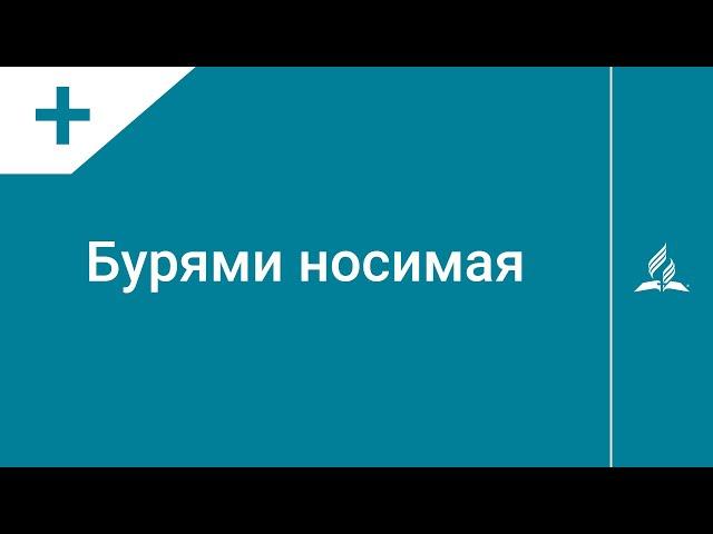 №270 Бурями носимая | Караоке с голосом | Гимны надежды