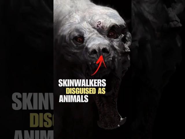 Skinwalkers disguised as animals #animals #scary #facts #skinwalker #dog