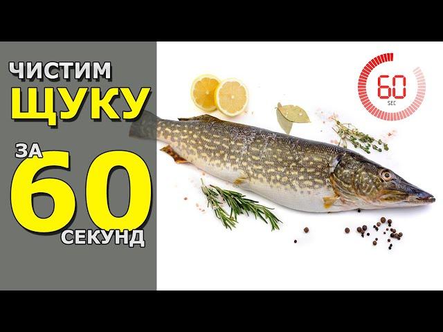  ЧИСТИМ ЩУКУ от чешуи за 60 секунд | ЛЁГКИЙ и БЫСТРЫЙ способ | Почистить Рыбу с помощью Кипятка