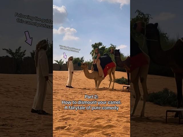 Dismounting just as gracefully as I mounted (original video earlier this week)‍️#desertsafari