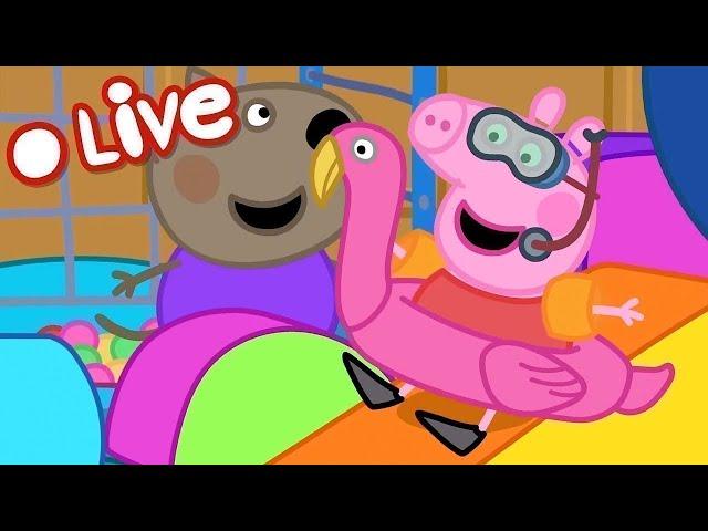  PEPPA PIG TALES LIVE  BRAND NEW PEPPA PIG TALES  EPISODES LIVE 24/7