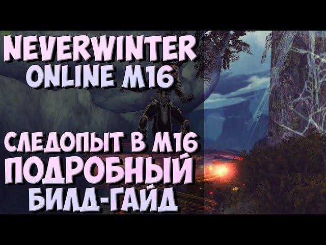 Следопыт в М16. Подробный Билд-Гайд | Neverwinter Online | M16