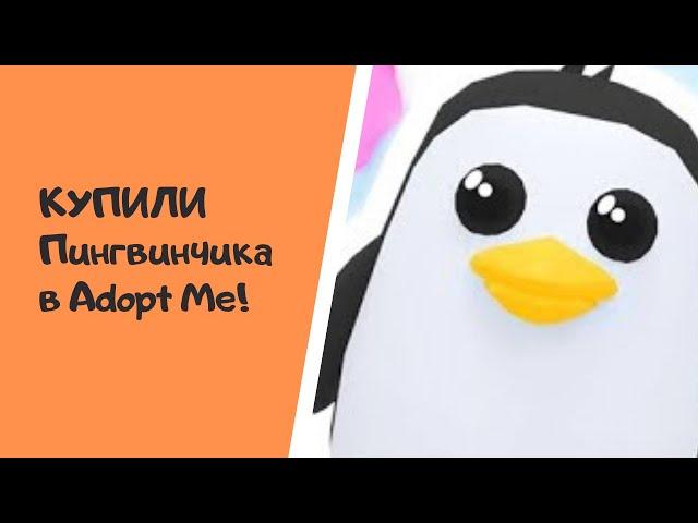 ПОКУПАЕМ ПИНГВИНЧИКА в игре Роблокс Adopt Me!