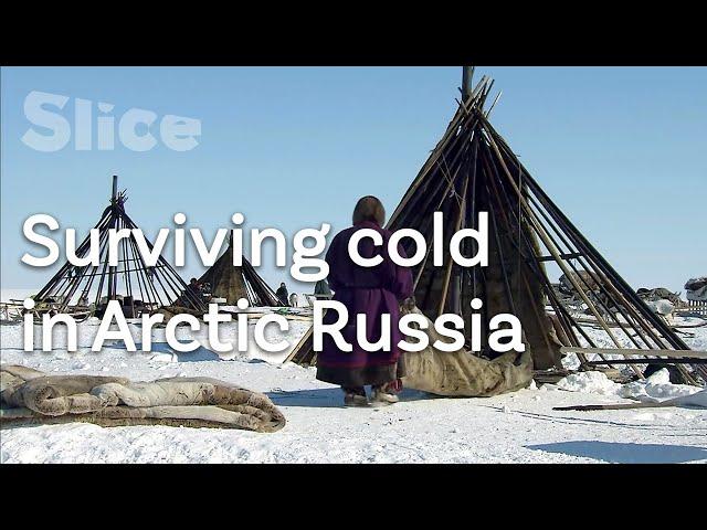 Building a chum with Siberia’s Nenets nomads | SLICE