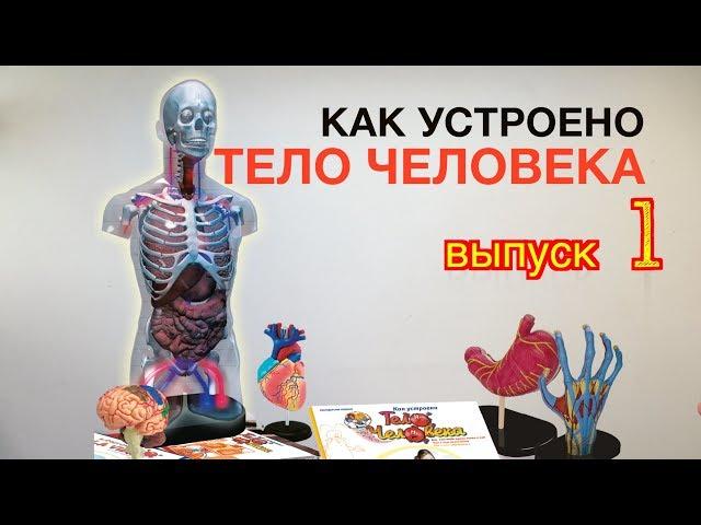 "Как устроено тело человека" (ДеАгостини) 2018, выпуск 1 распаковка