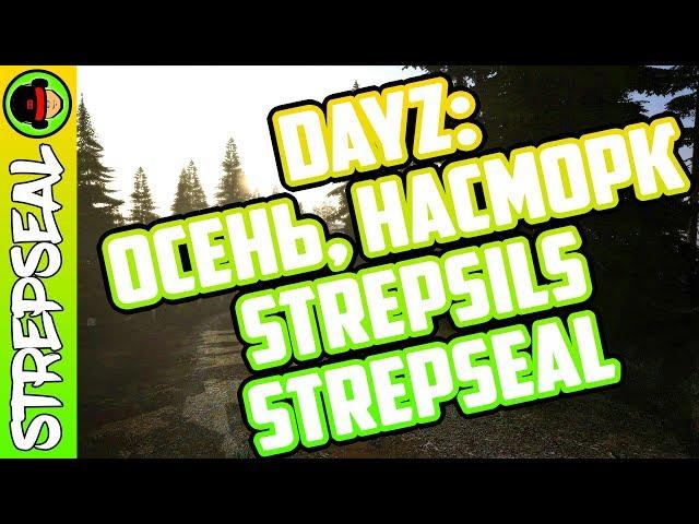 DayZ: Осень, насморк, Strepsils, StrepSEAL))