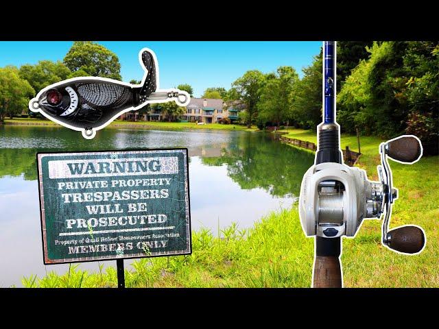 BIG Bass Love MINI WHOPPER PLOPPERS!!! | Whopper Plopper Bass Fishing BLOWUPS!