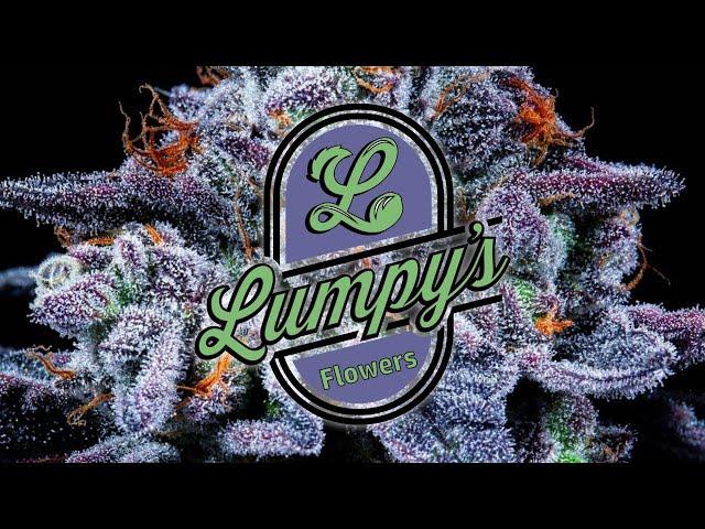 Lumpy’s Flowers: NorCal’s TRUE craft cannabis legacy brand