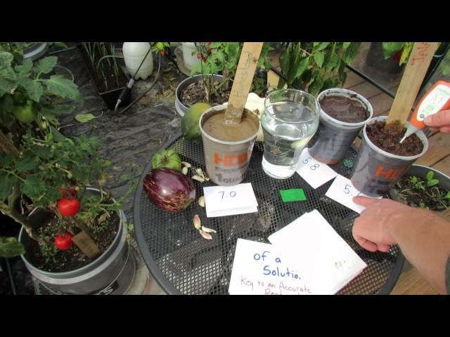 What is Vegetable Garden Soil pH and How to Use a Digital pH Meter - The Rusted Garden 2013