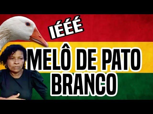 Melô De Pato Branco - Apedidos | Dj Mister Foxx