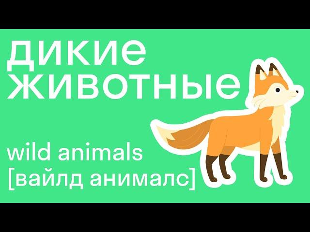 Дикие животные на английском языке, учим вместе! Легко со skysmart!