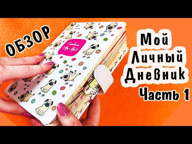 Мой НОВЫЙ Личный Дневник ОБЗОР Часть 1. Идеи для ЛД, оформление, канцелярия
