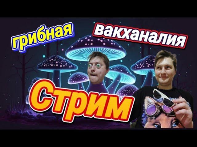 Ёкарный бабай! так эта же стрим!!! полная вакханалия) часть 2