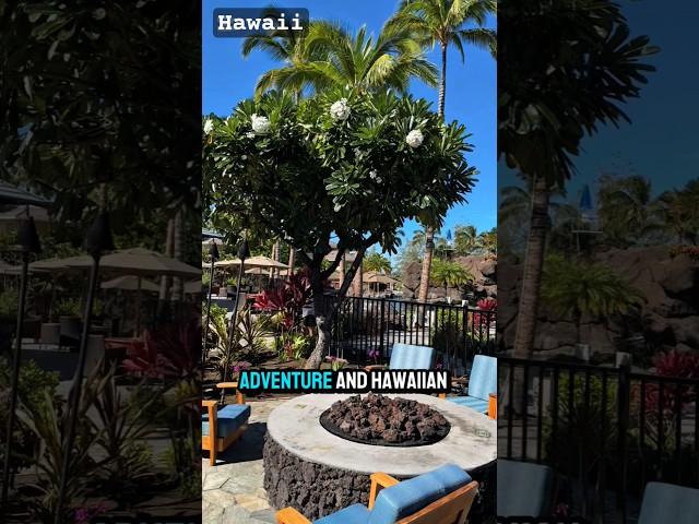 Why Everyone Loves This Tropical Paradise! #hawaii #shorts