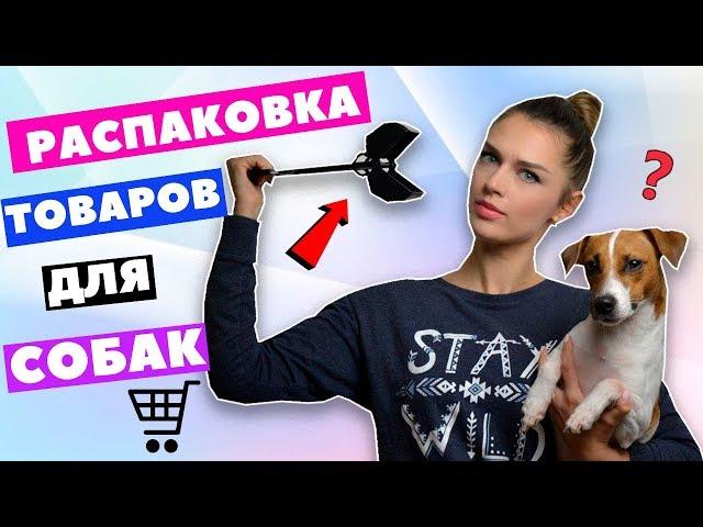 РАСПАКОВКА И ТЕСТИРОВАНИЕ ТОВАРОВ ДЛЯ СОБАК | DOG UNBOXING