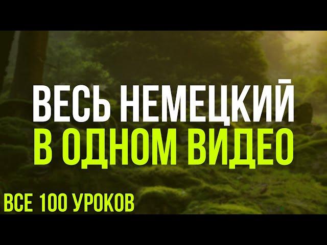 Весь Немецкий в одном видео. Все 100 уроков. Немецкие слова и фразы. Немецкий с нуля. Немецкий язык.