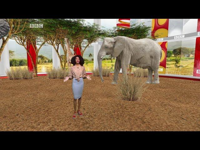 BBC Afrique: BBC Actu Jeunes (Episode 43)