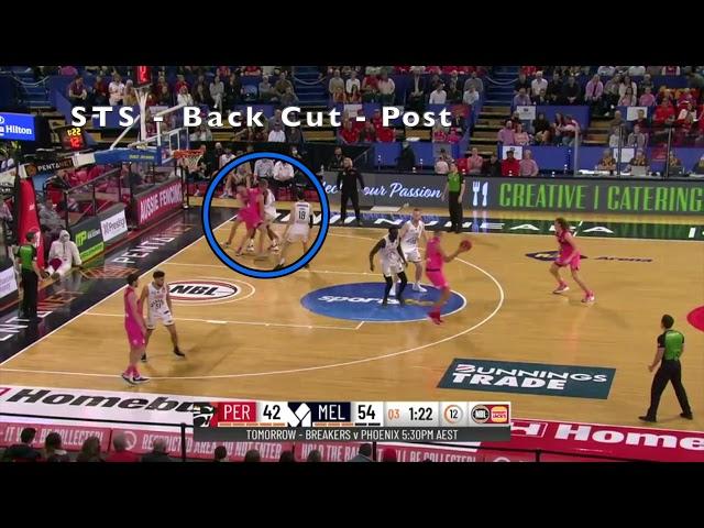 A Guide to The Flex Offense in Modern Basketball - Perth Wildcats (Trevor Gleeson) NBL