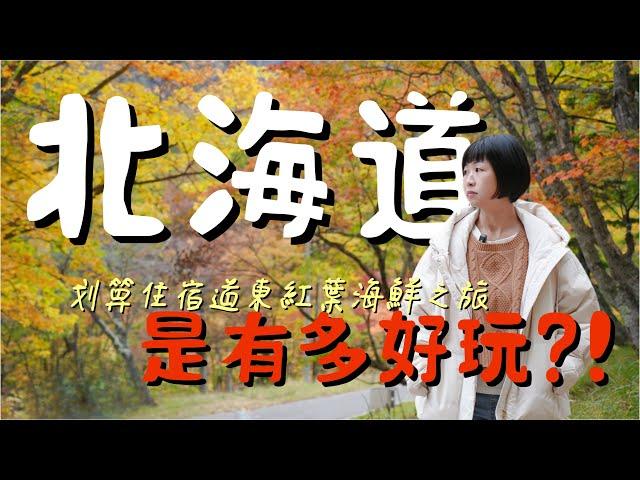 20個讓人驚呼連連的必玩景點，道東各種紅葉秘境體驗！目擊野生熊捕鮭魚震撼瞬間，超划算海鮮BBQ、產地生食干貝吃到爽，六口之家入住舒適小木屋每晚不到3千台幣，、美食與住宿推薦！