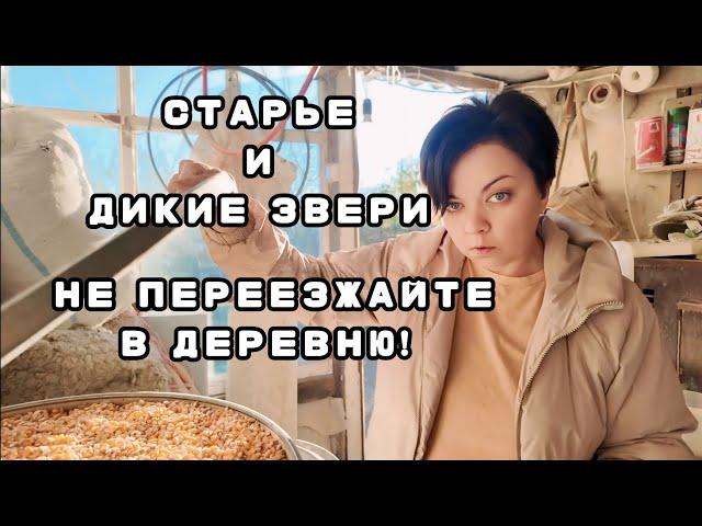 МОЛОДАЯ СЕМЬЯ живет в ХУТОРЕ на самом ЮГЕ РОССИИ | НЕ ЗРЯ переехали